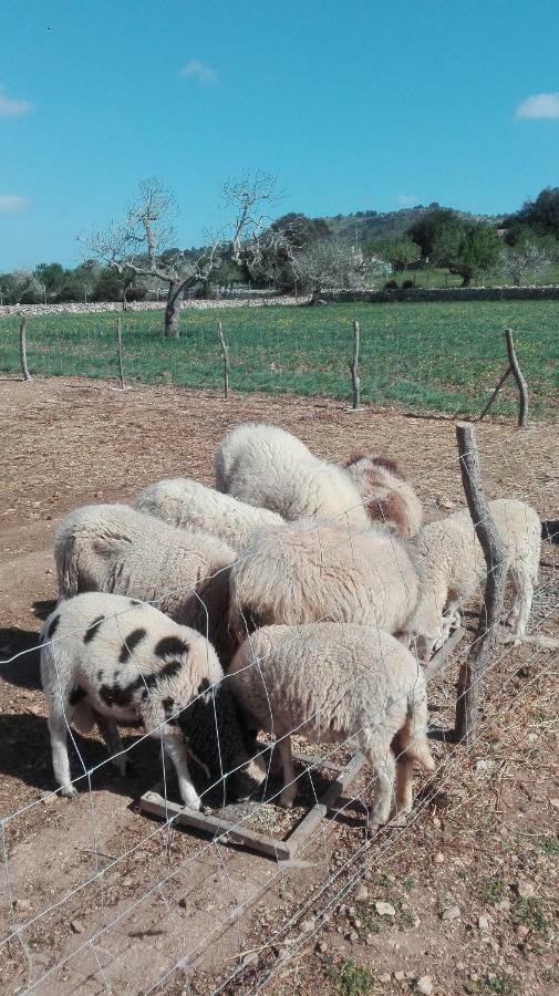 Sa Granja * Artà