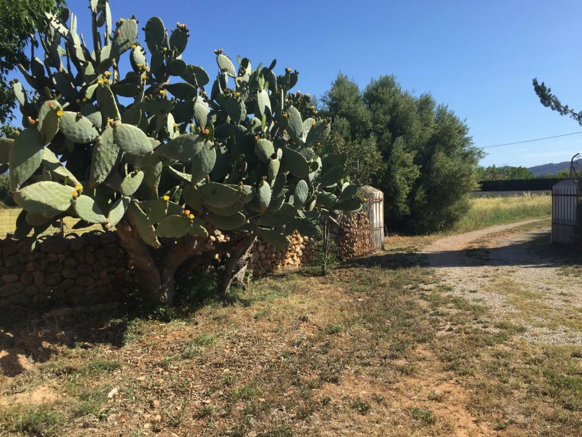 Сasa de vacaciones Bonita Sa Vinya Relax Y Piscina Privada *