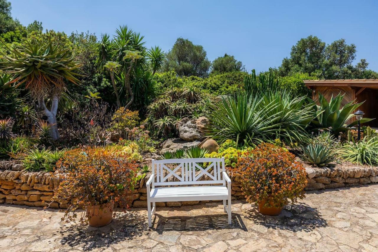 Villa Finca Ses Figueres