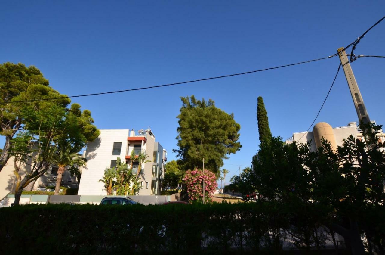 Villa Minerva 44 Alcudia (Mallorca)