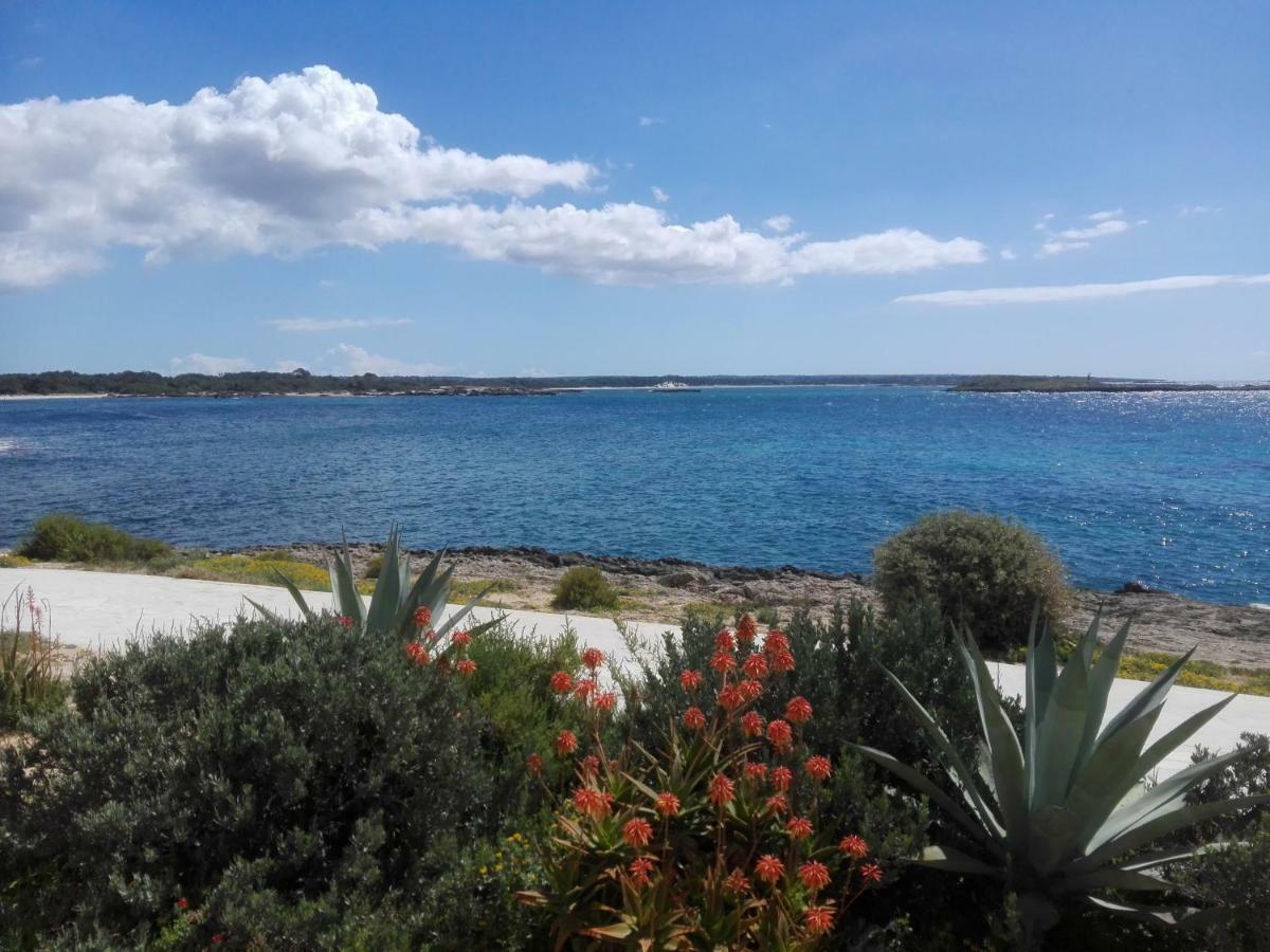 Son Coves Petit Сasa de vacaciones