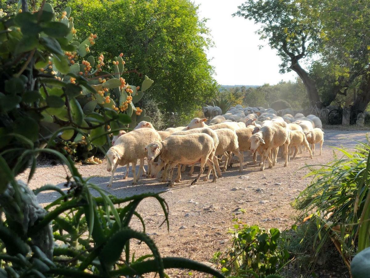 Agroturismo Guillo *