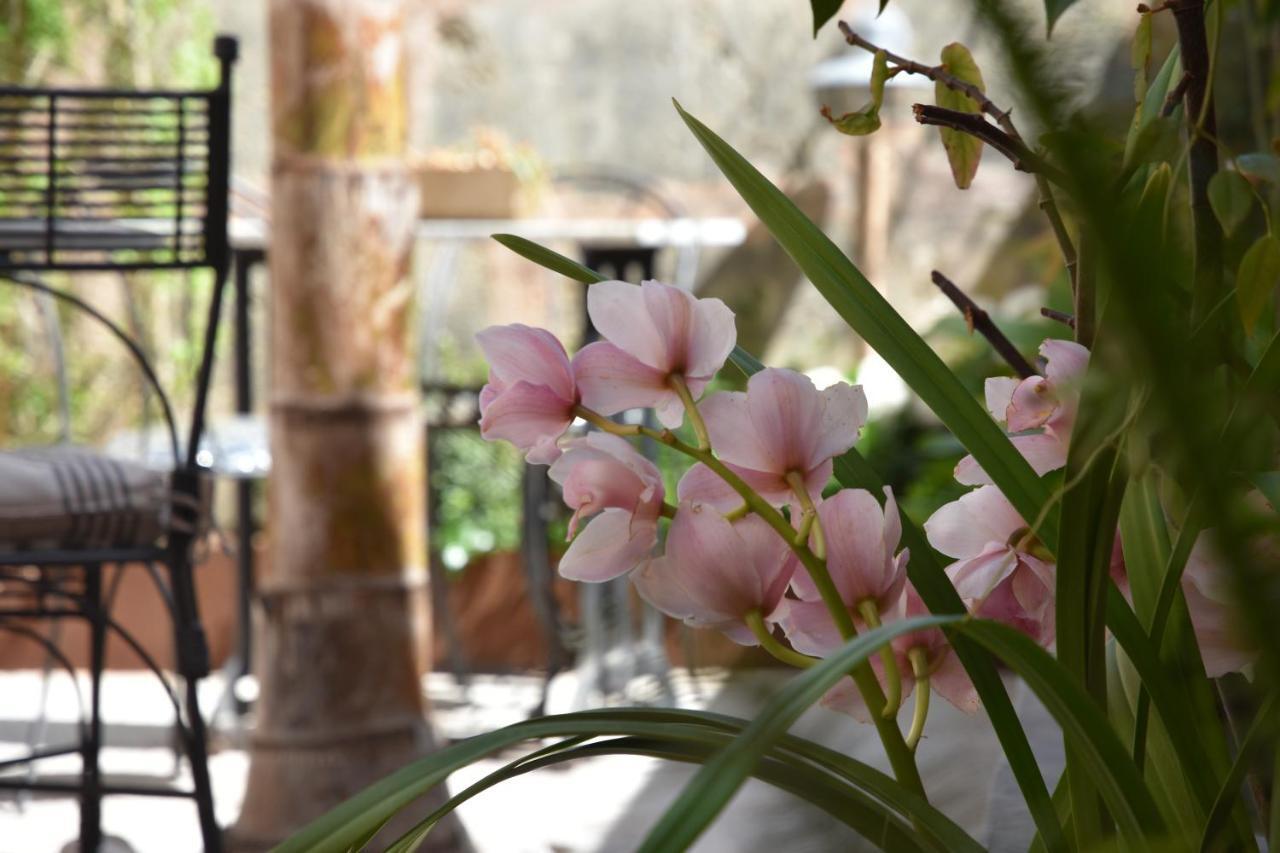 Ecocirer Healthy Hotel Sóller