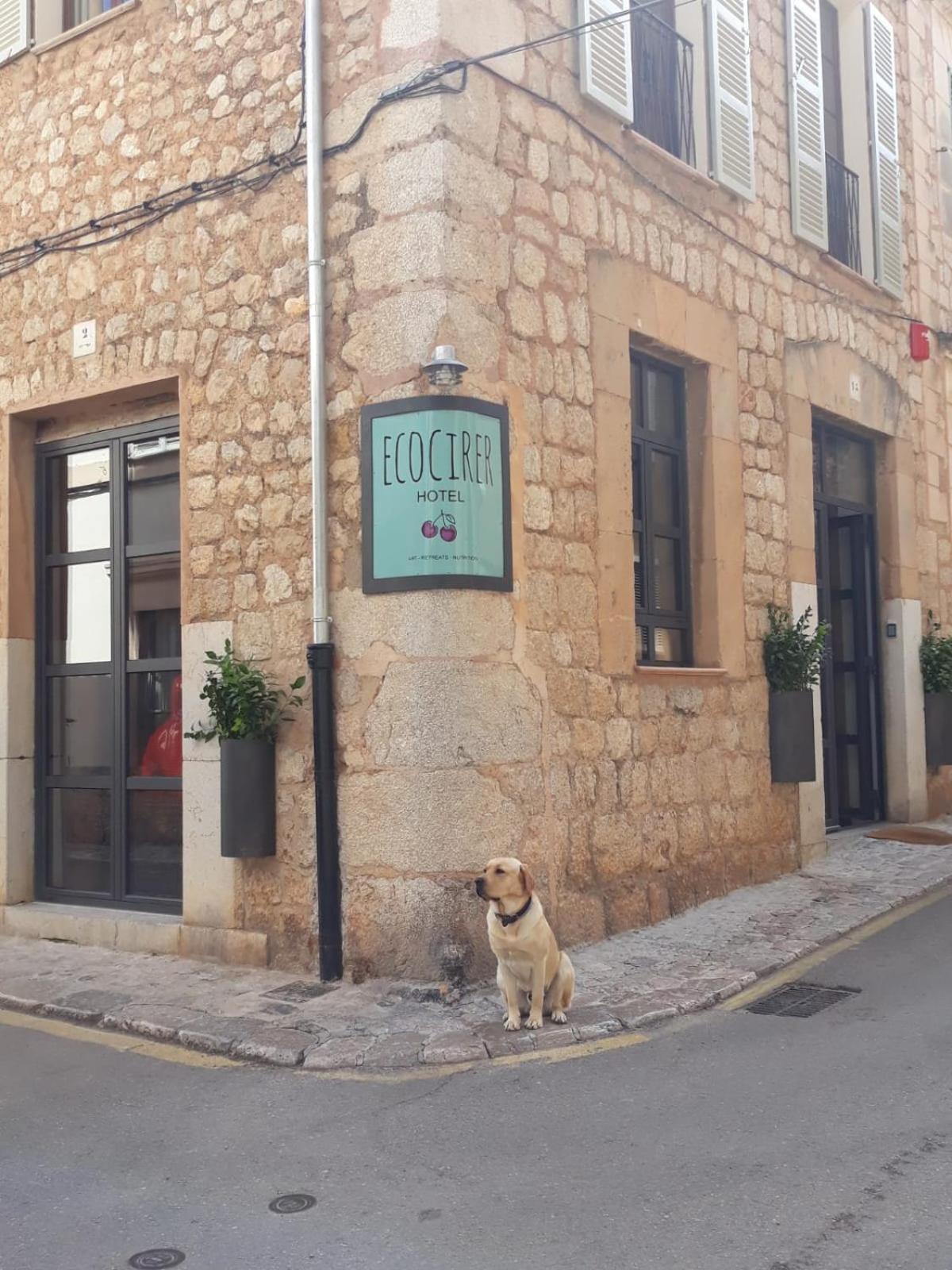 Hotel Ecocirer Healthy Sóller