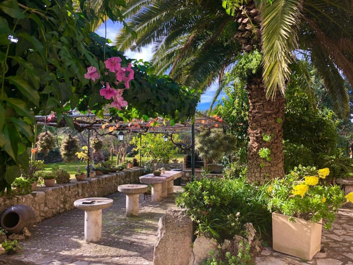 Guillo Agroturismo Pollensa