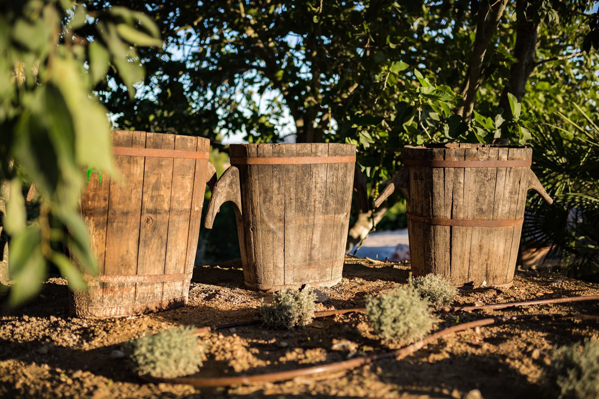 Ses Vistes Agroturismo Porreras