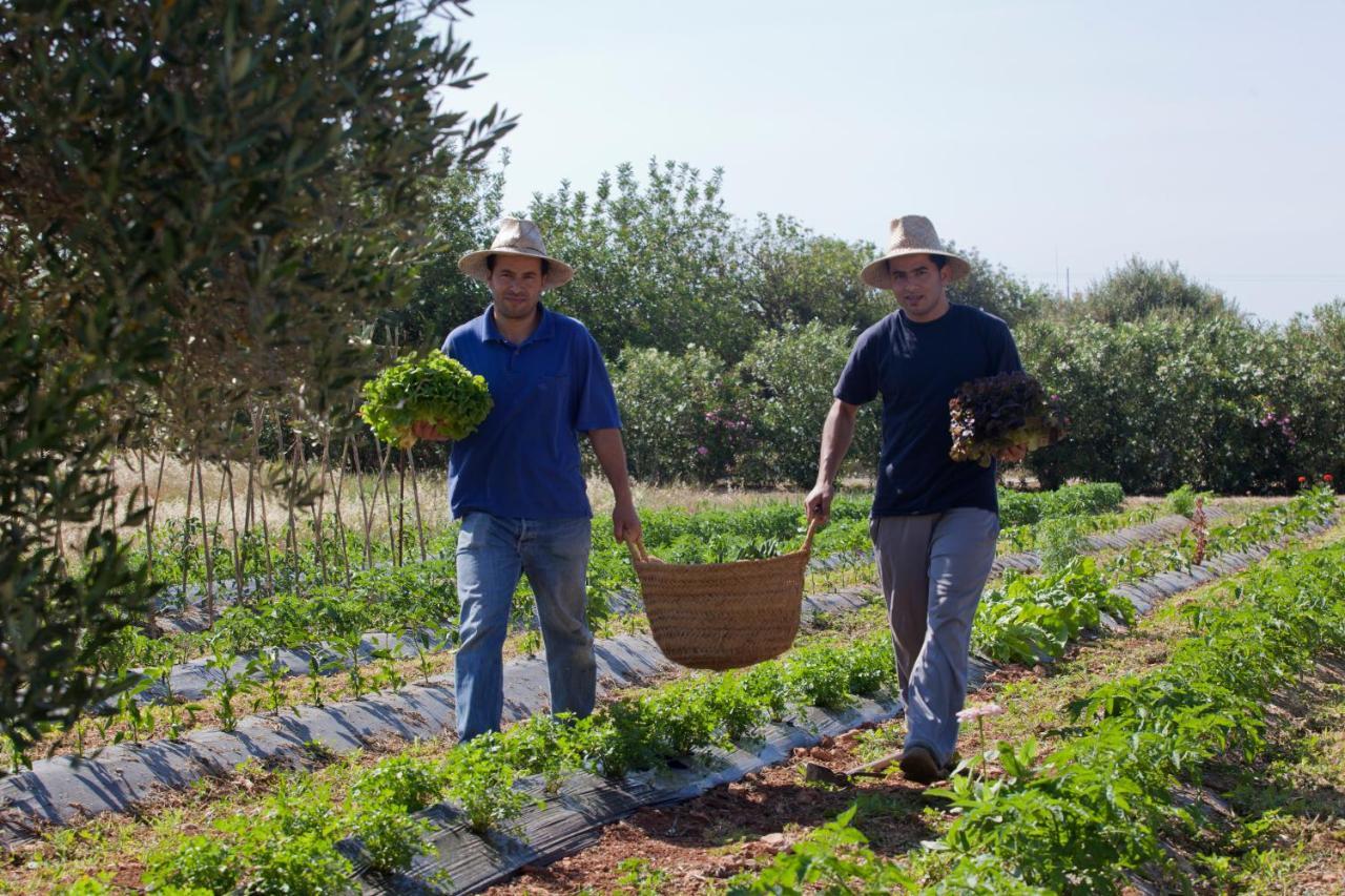 Country house Sa Carrotja - Adults Only *