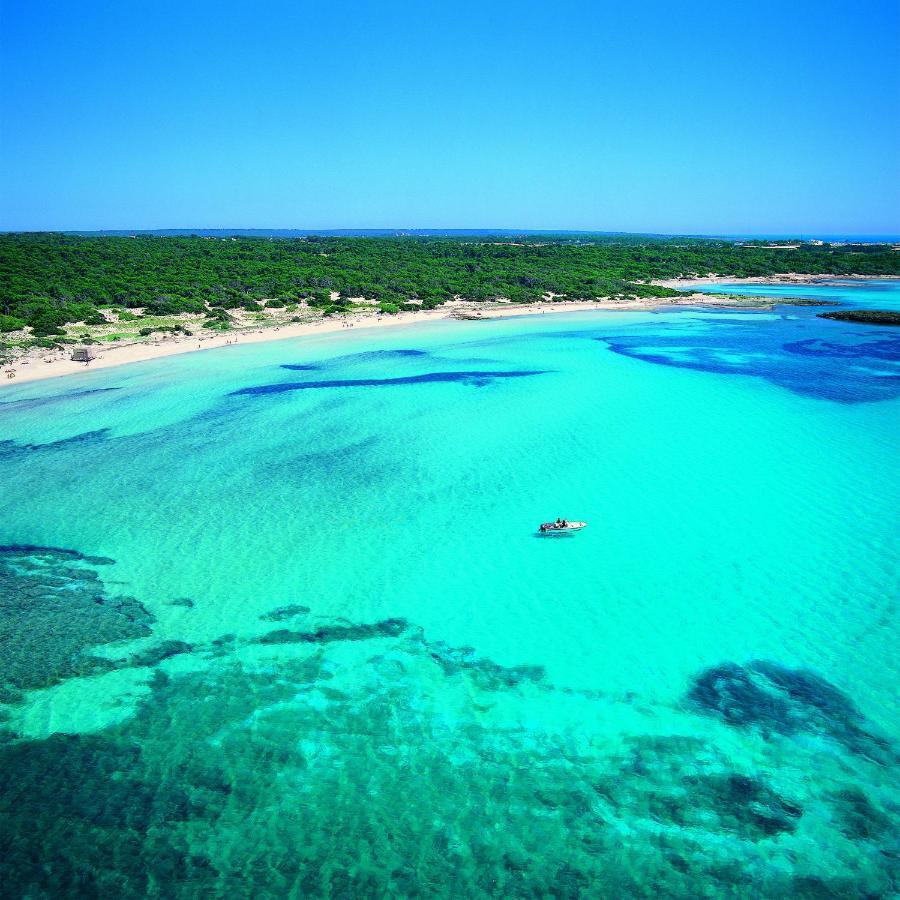 Bluewater Colonia de Sant Jordi