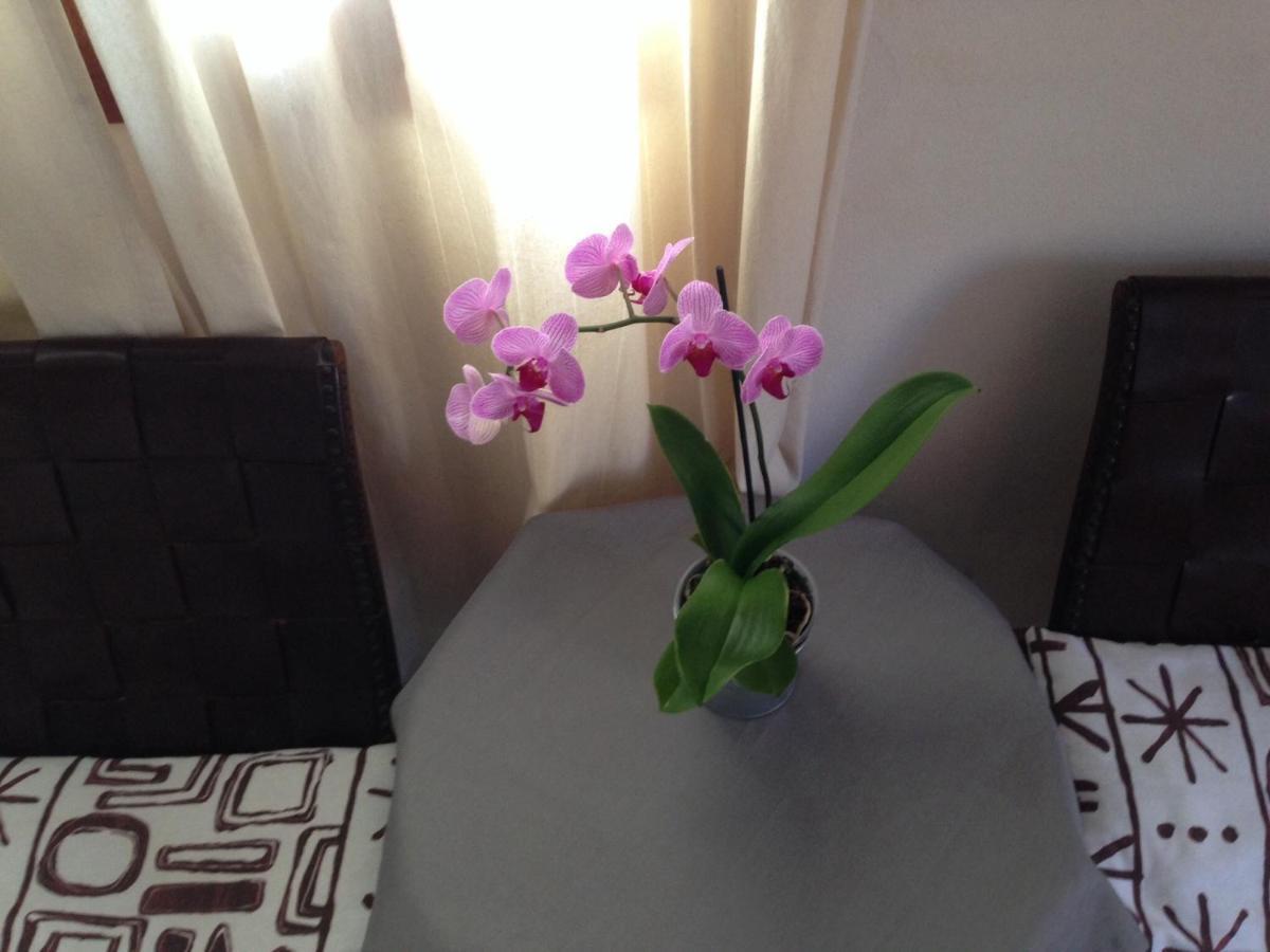 Allotjaments Serra De Tramuntana Bed and breakfast 2*
