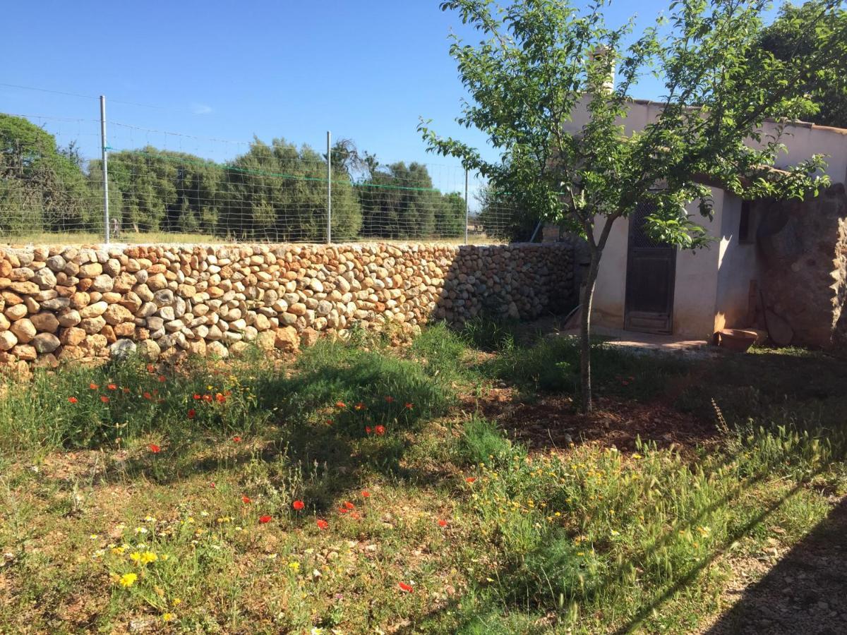 Сasa de vacaciones Bonita Sa Vinya Relax Y Piscina Privada Inca (Mallorca)