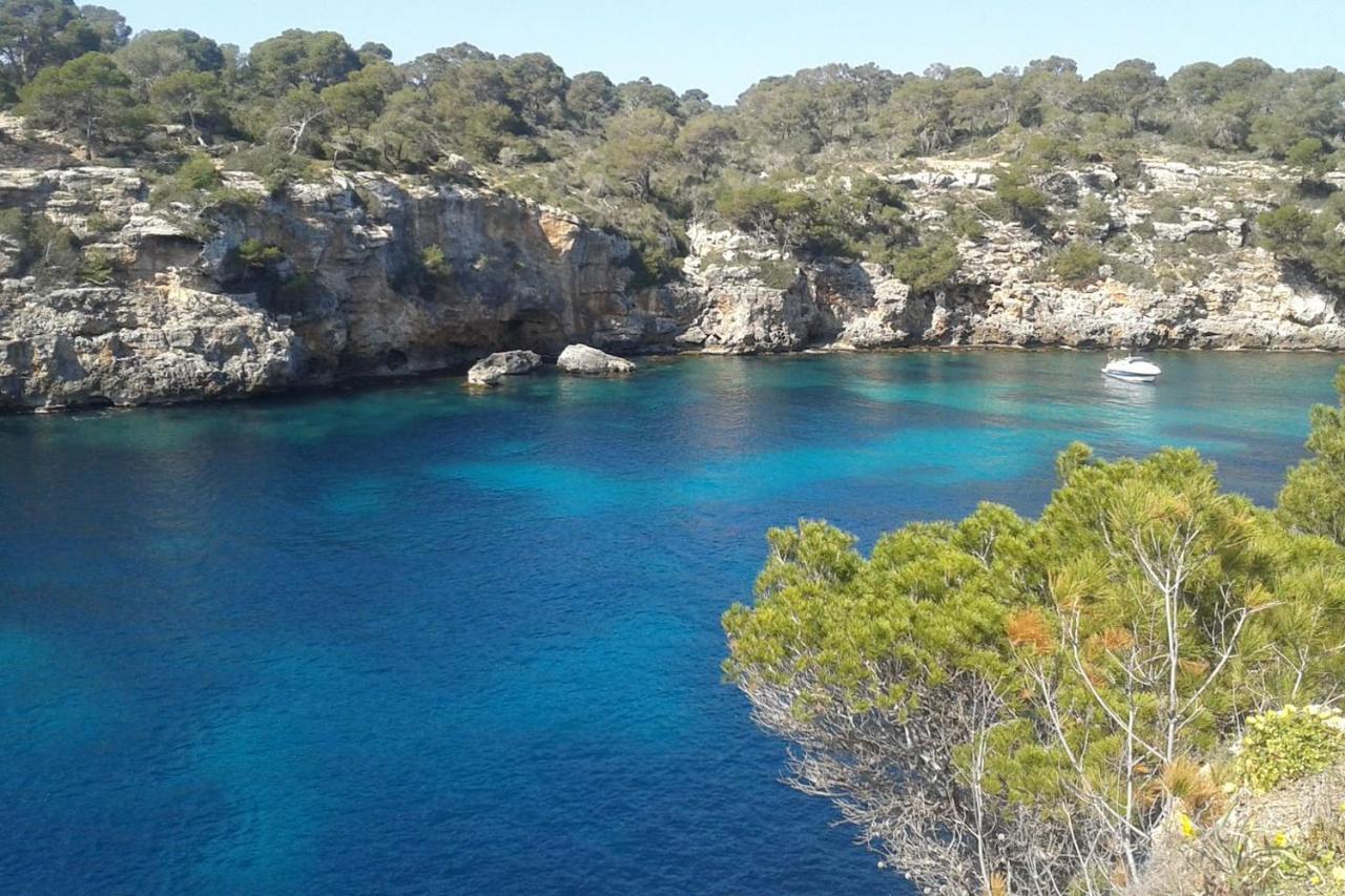 Apartamento The Torrent's Observer Cala Pi (Mallorca)