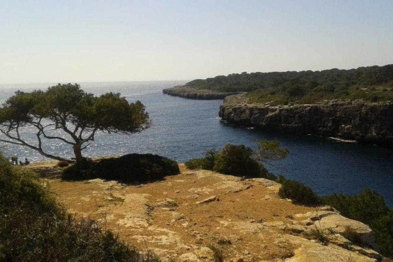 The Torrent's Observer Cala Pi (Mallorca)