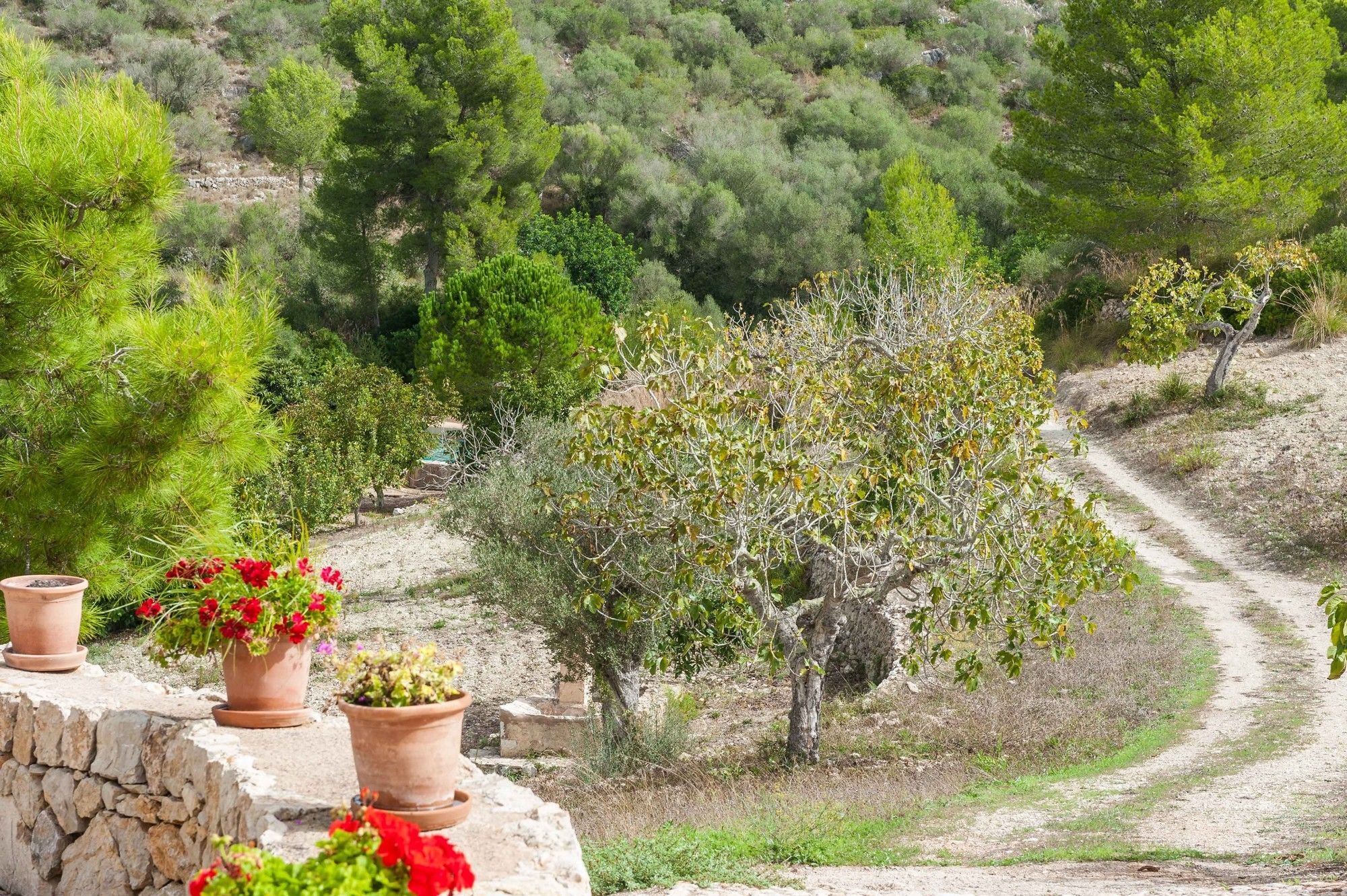 Hort De Sa Vall Villa
