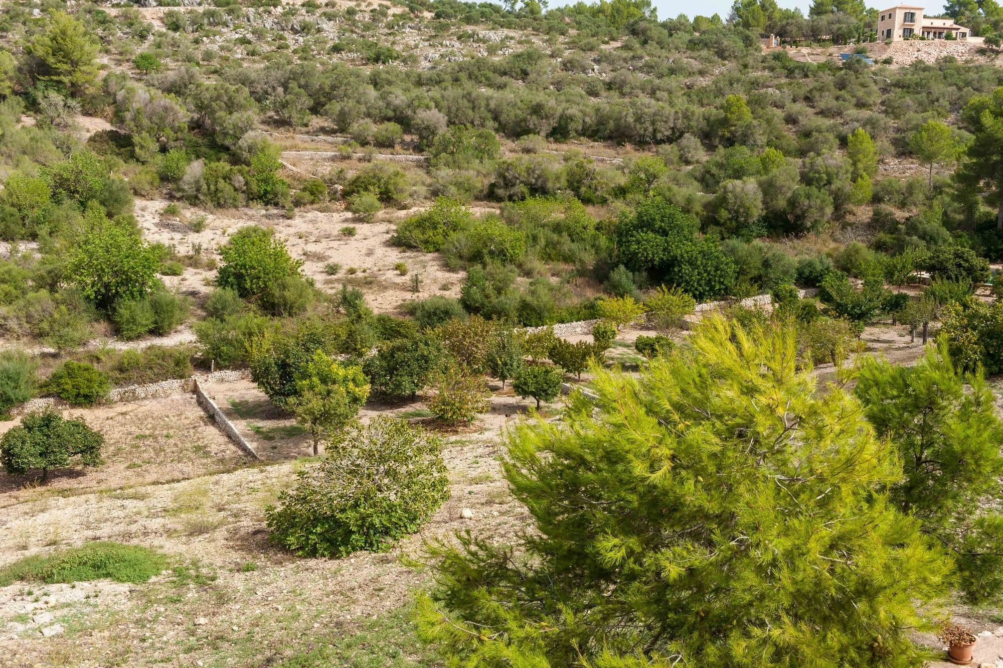 Villa Hort De Sa Vall *