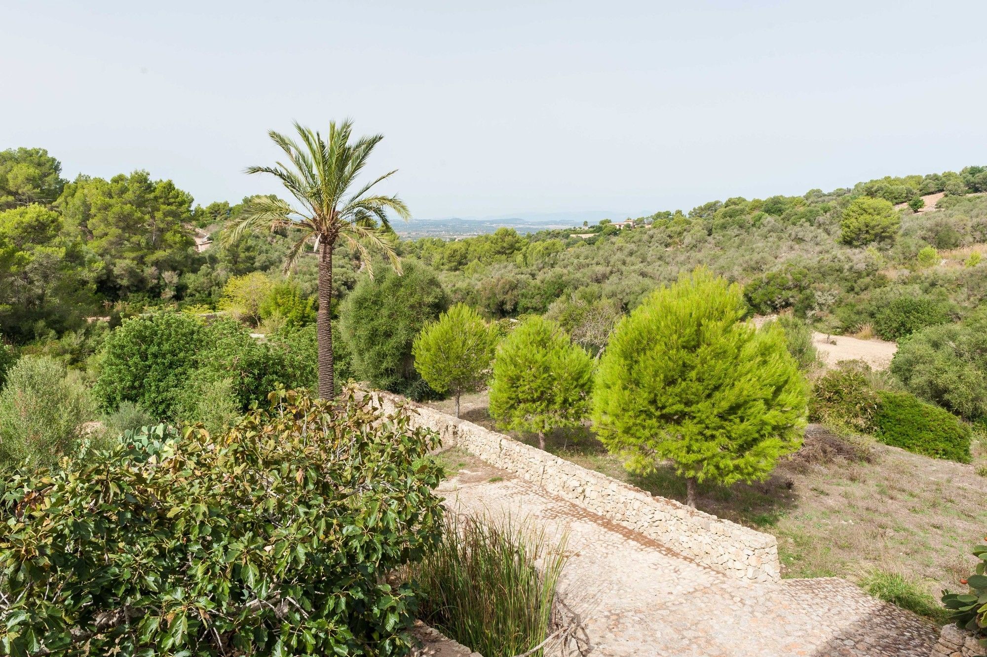 Hort De Sa Vall Fenalitx (Fenalich)