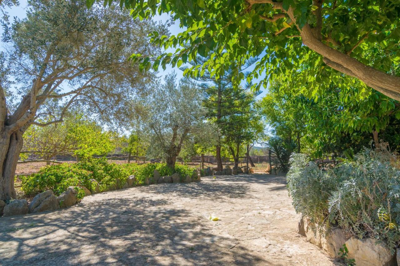 Villa Finca Son Bosquer *