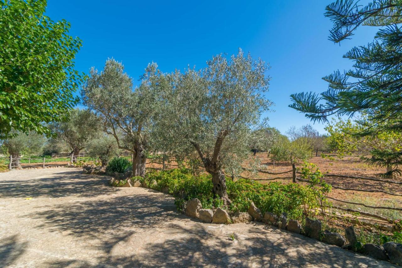 Villa Finca Son Bosquer