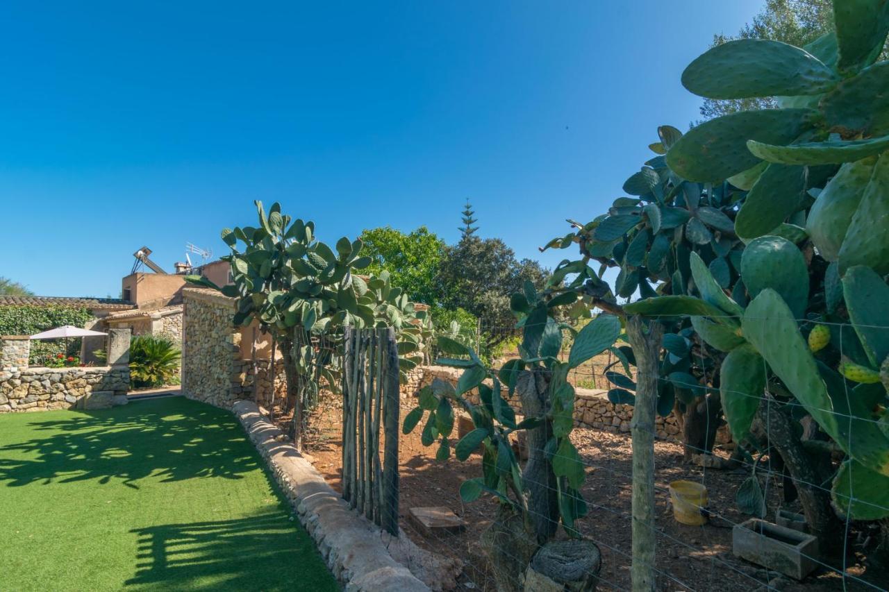 Villa Finca Son Bosquer Petra (Mallorca)