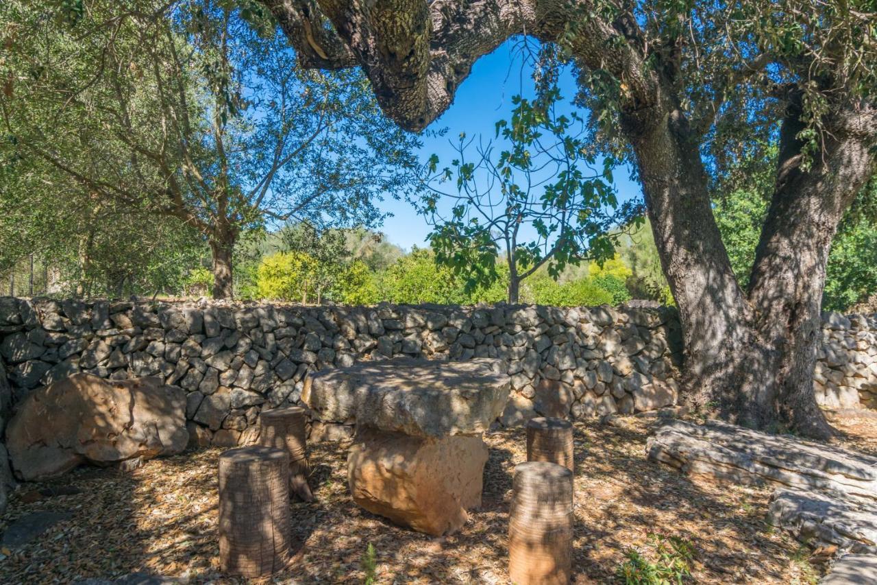 Finca Son Bosquer Villa