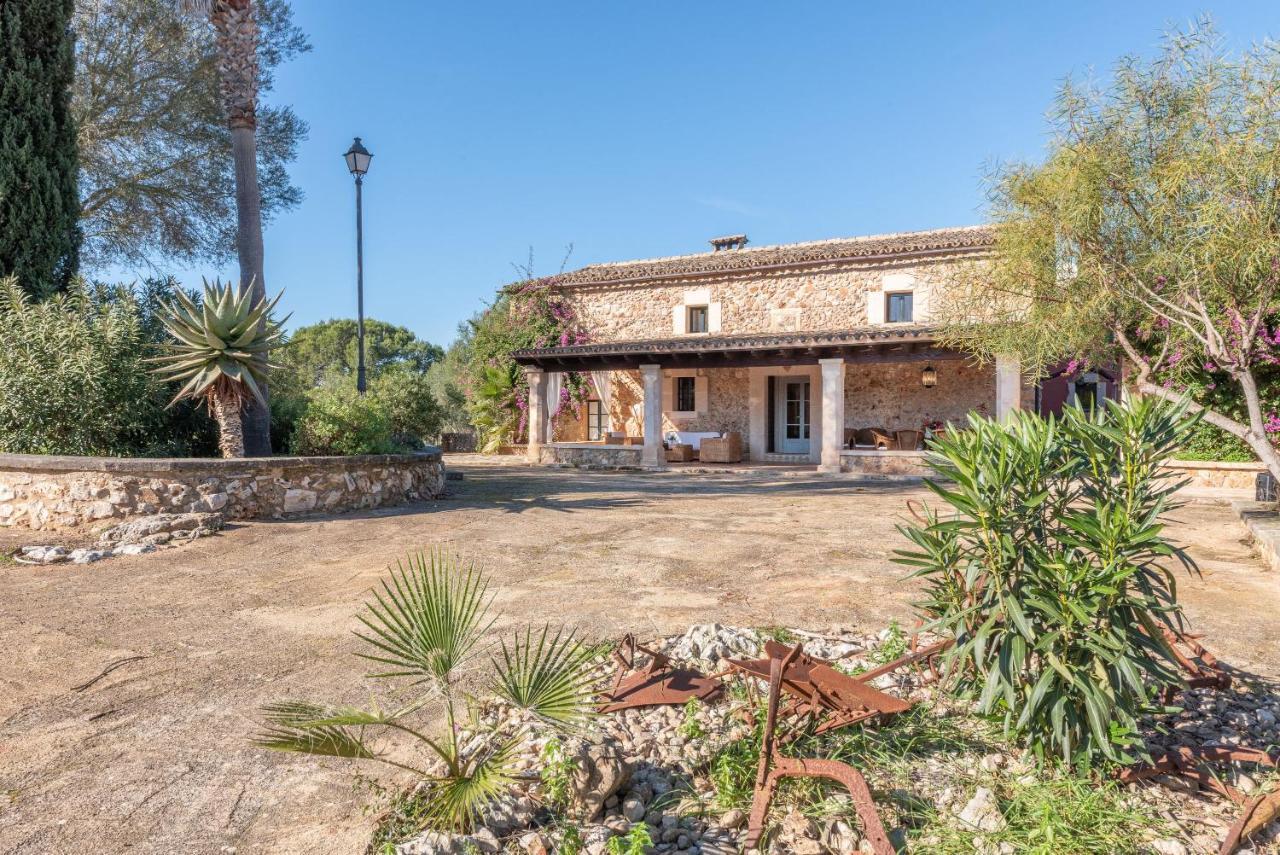 Son Regalat * Sineu (Mallorca)