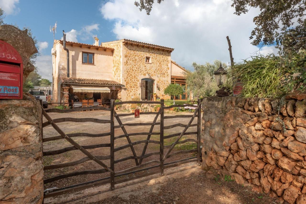 Villa Son Draguet *