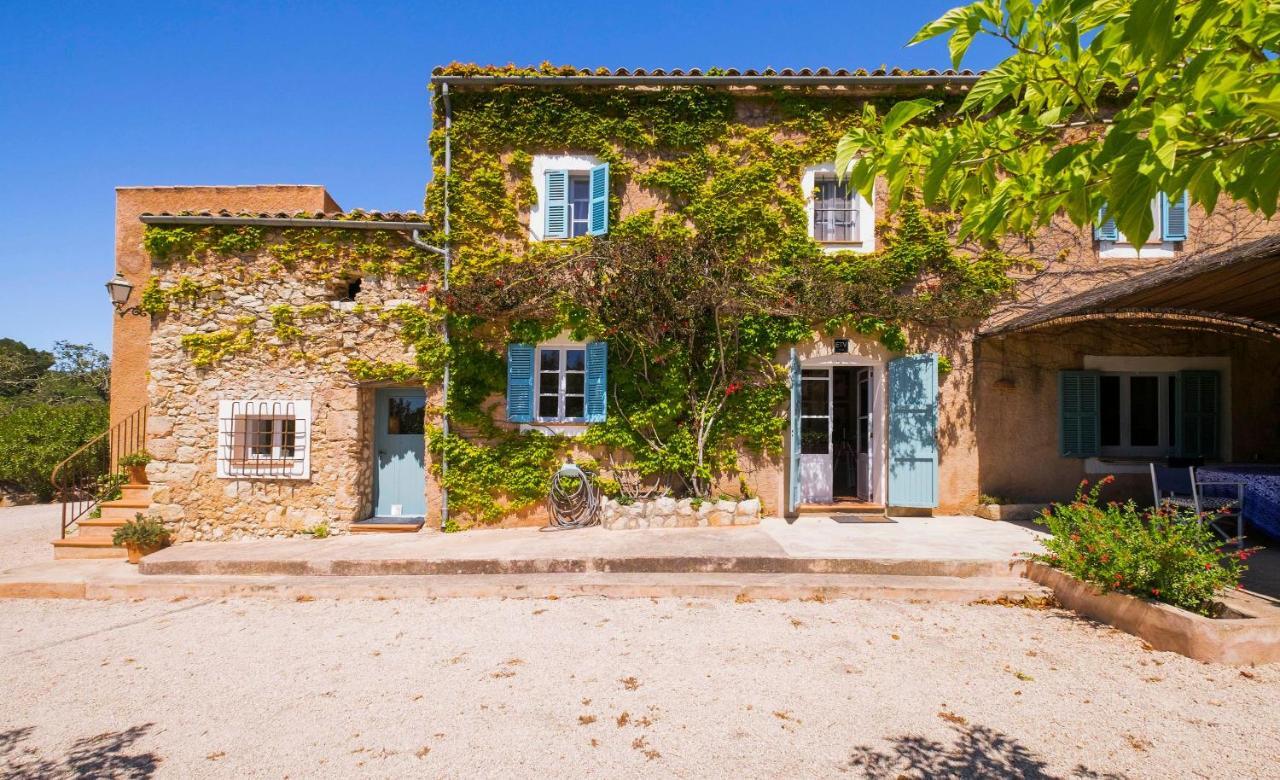 Baix D' Or * Fenalitx (Fenalich)