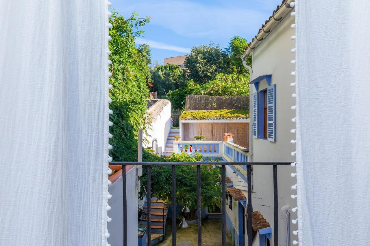 Ithaka Petit Arta