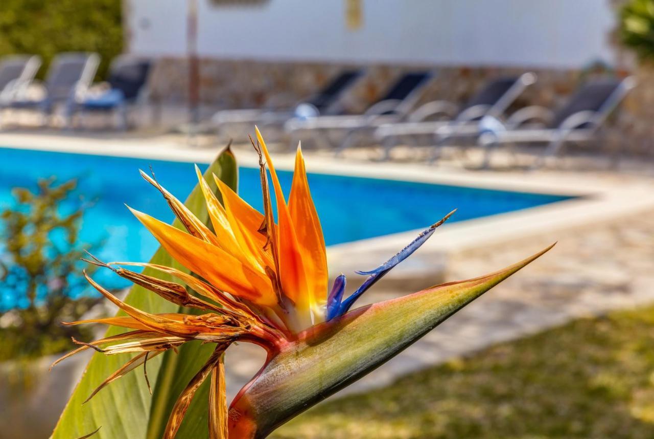 Fonoll Mari Villa Puerto Pollensa