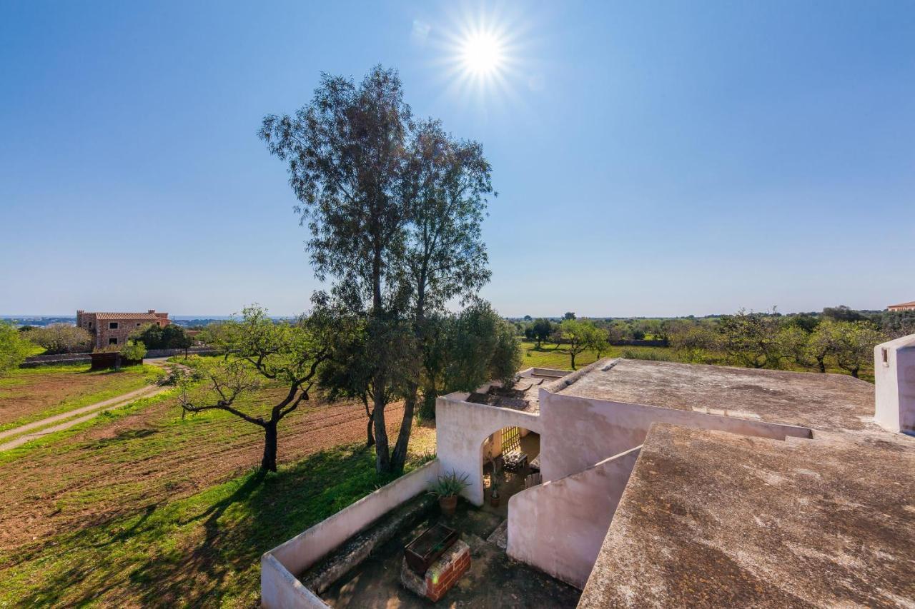 Сasa de vacaciones Sa Casona