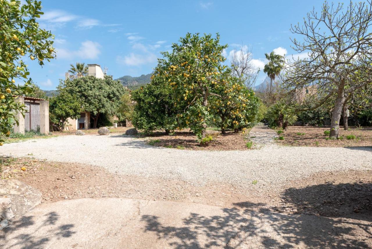 Ca'n Vaqueta Villa
