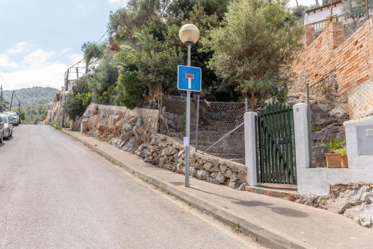 Joi Sóller