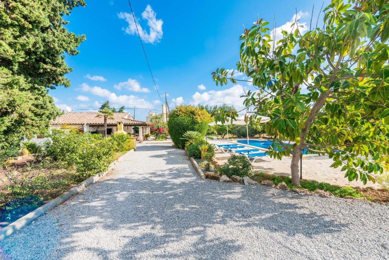 Cal Lloro Villa Pollensa