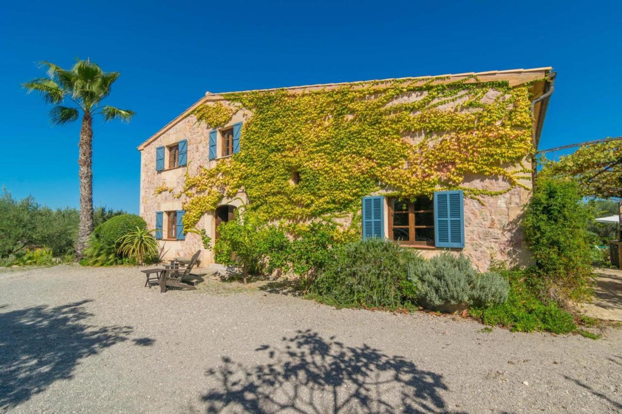 Mercader Villa Alcúdia