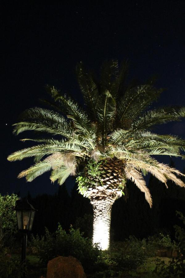 Finca Verde * Llucmajor (Mallorca)