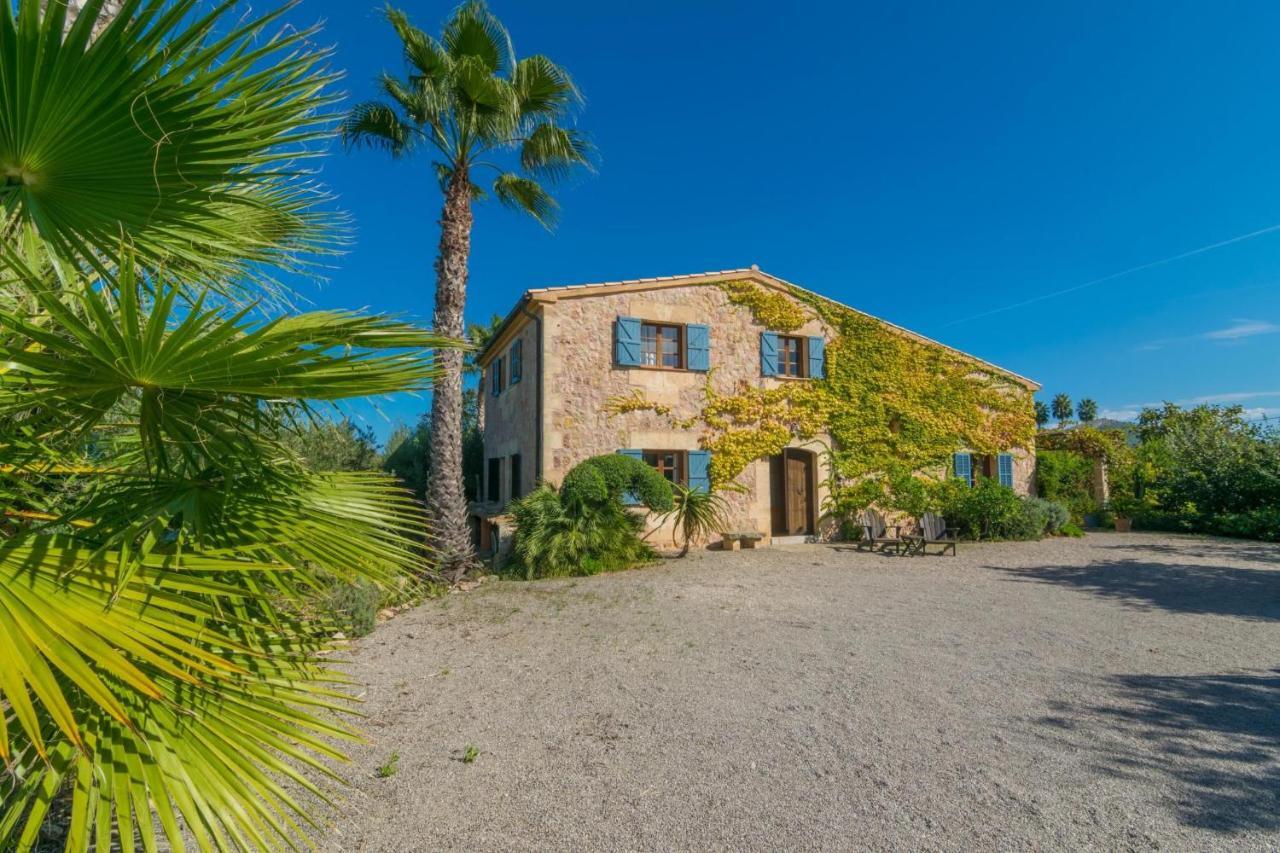 Mercader Villa Alcúdia