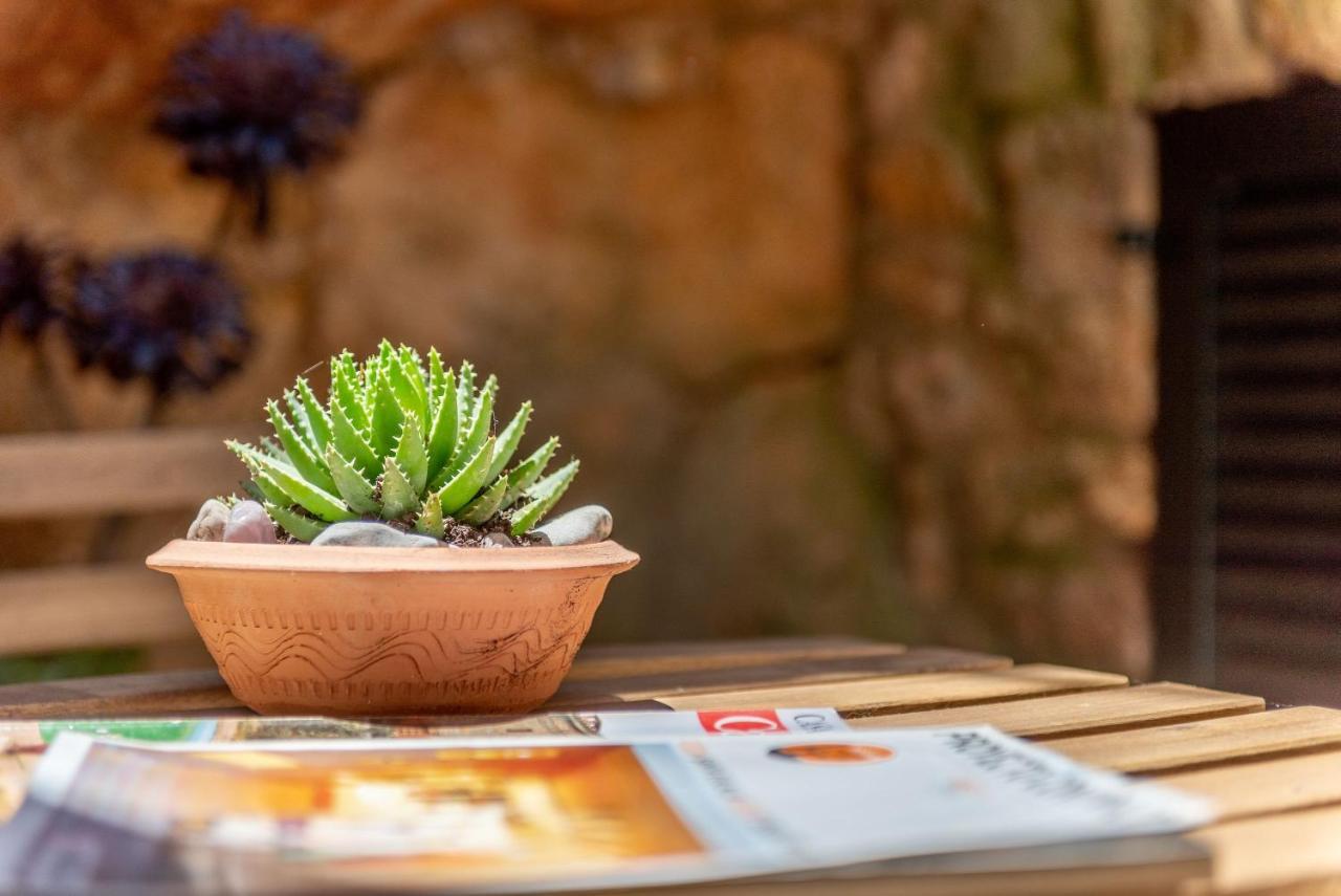 Сasa de vacaciones Creus