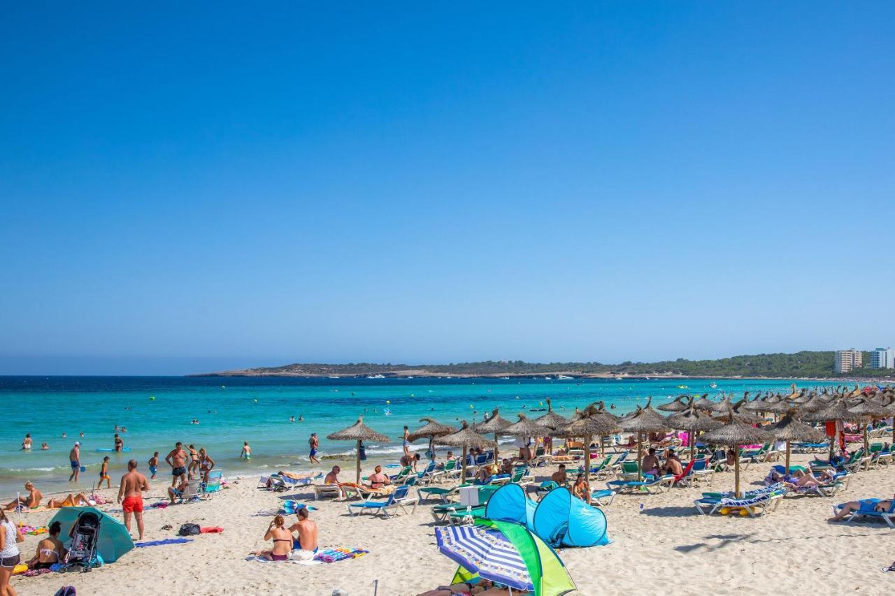 Dofí Cala Millor (Mallorca)