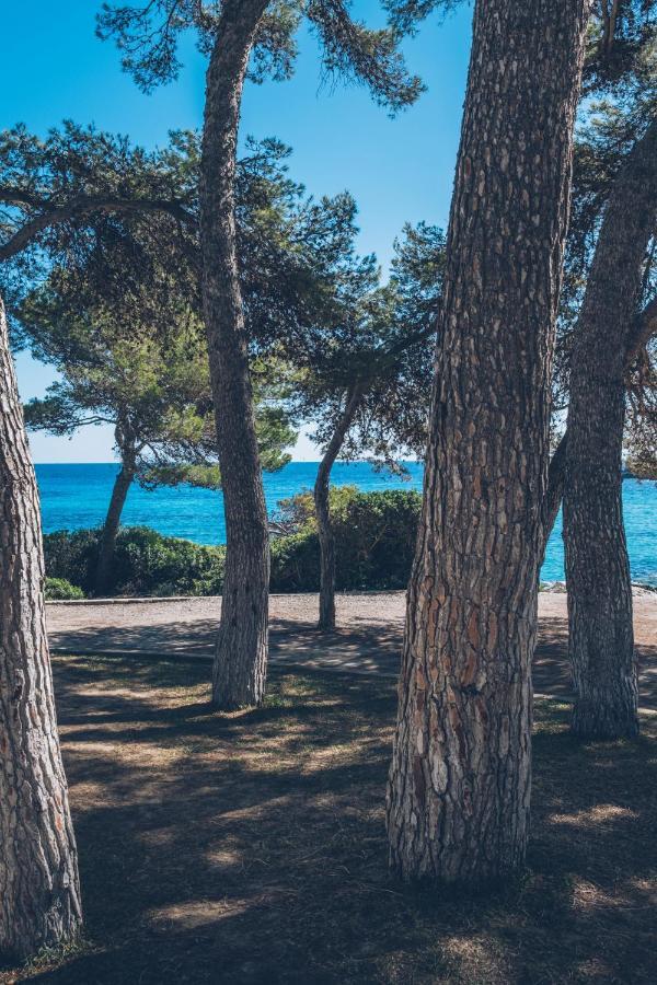 Iberostar Pinos Park Font de sa Cala