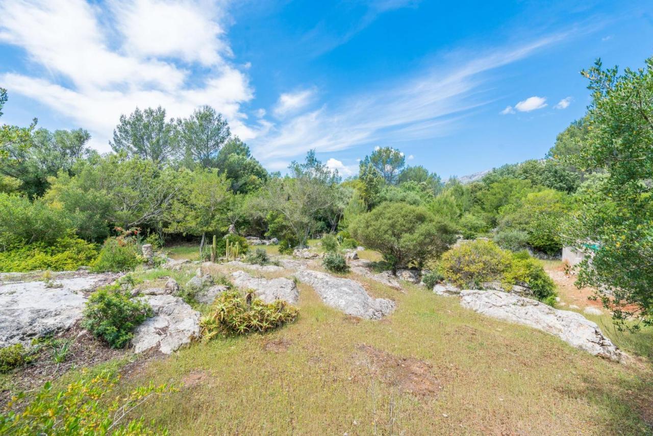 Company Villa