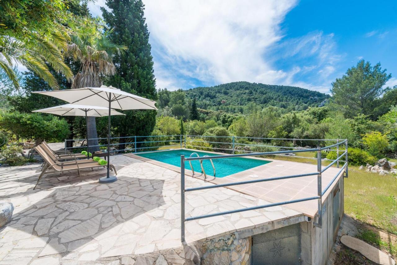 Company Villa *