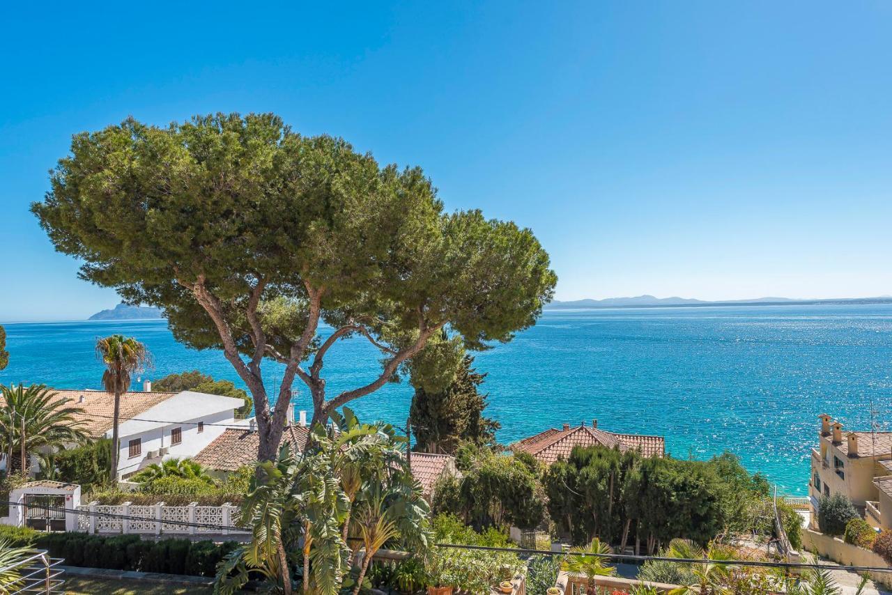 Ensueño D´aucanada Alcúdia