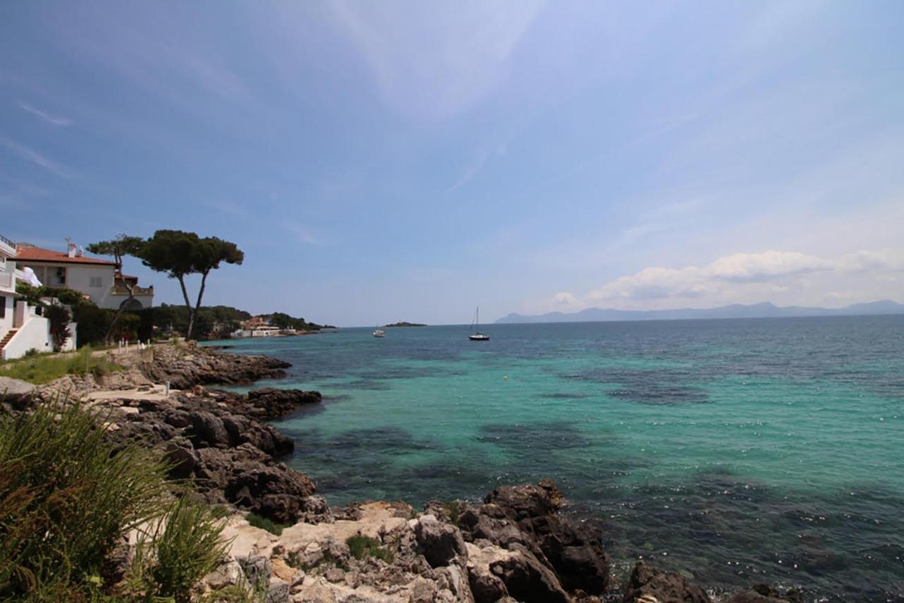 Ensueño D´aucanada Alcúdia
