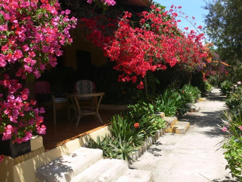 Predio Son Serra Hotel Can Picafort (Mallorca)