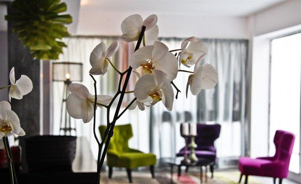 Hotel Feliz Palma de Mallorca