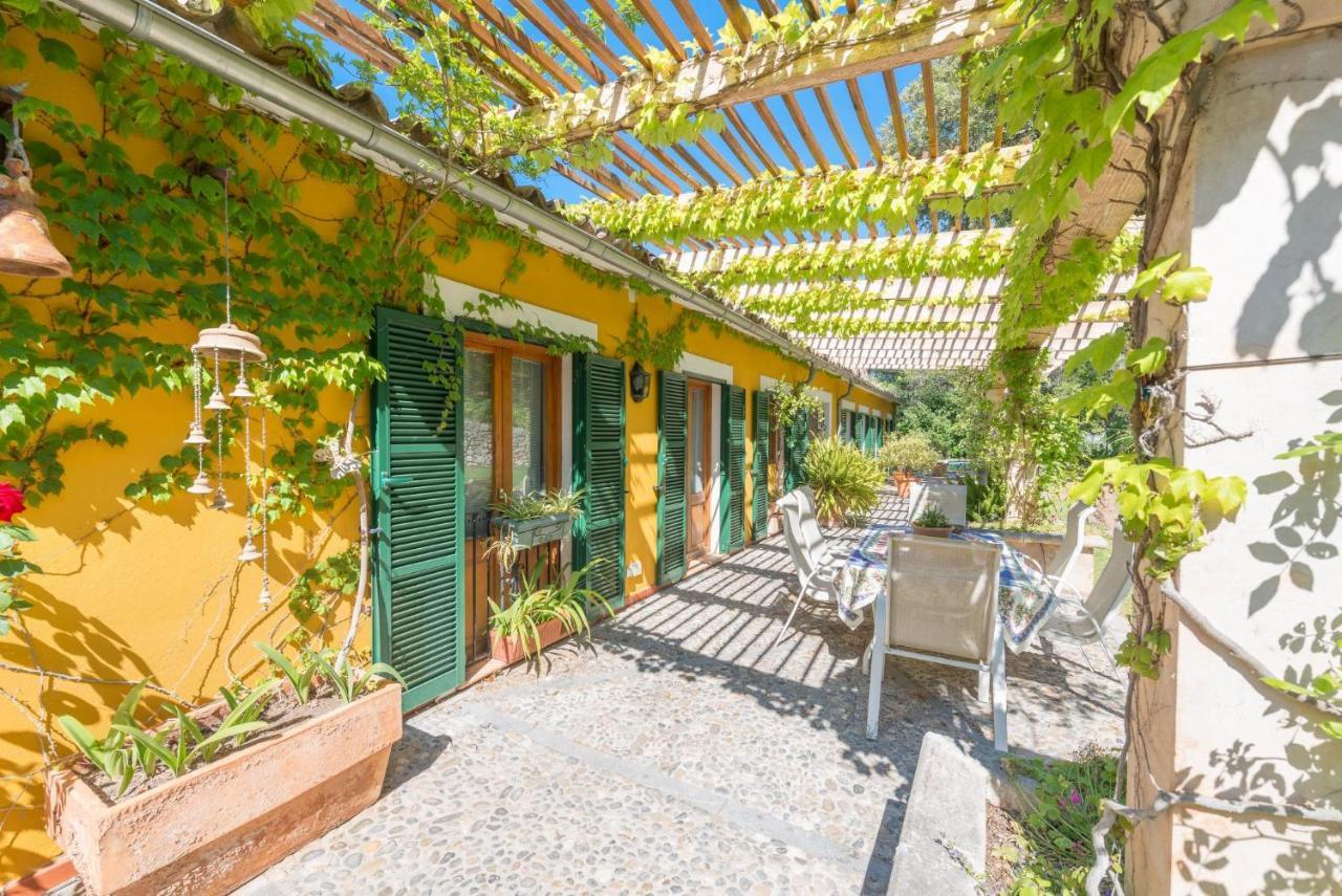 Finca Son Duri Villa *