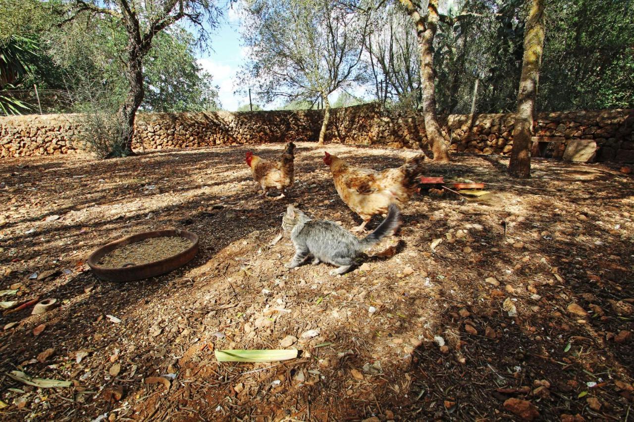 Finca Es Revellar * Campos (Mallorca)