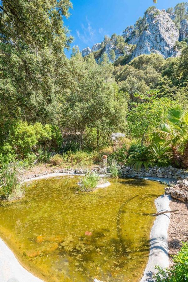Finca Son Duri Esporles (Esporlas)