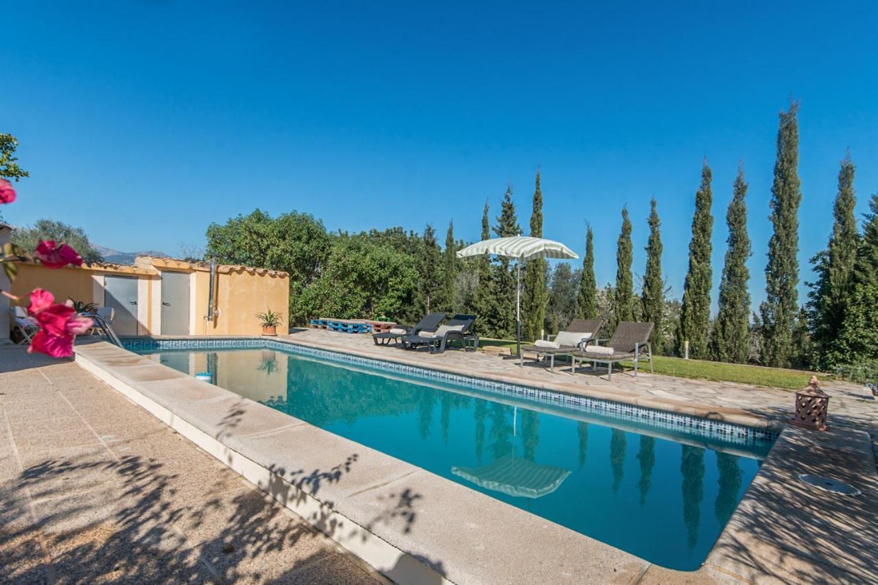 Villa - 311394