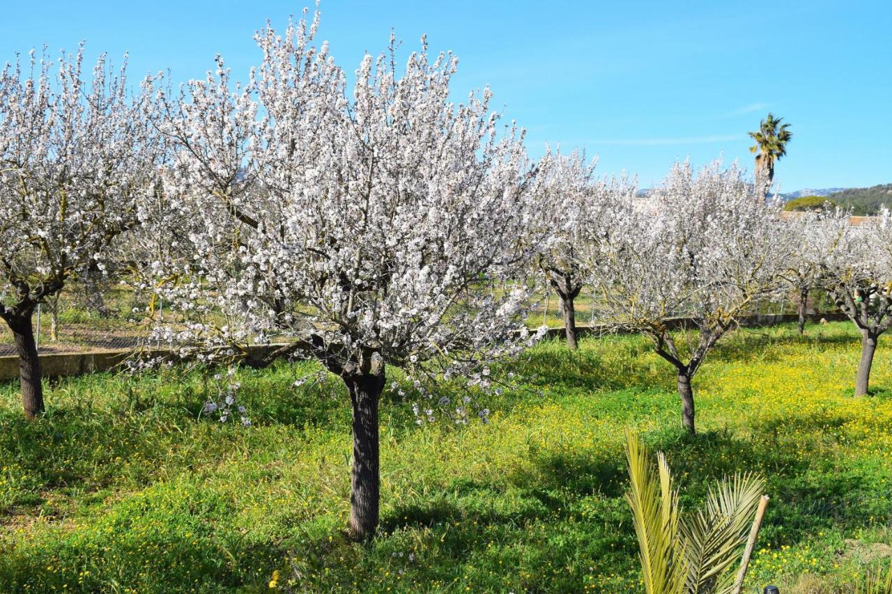 504 Finca Sa Vinyeta Etv4266 By Mallorca Charme Holiday home *