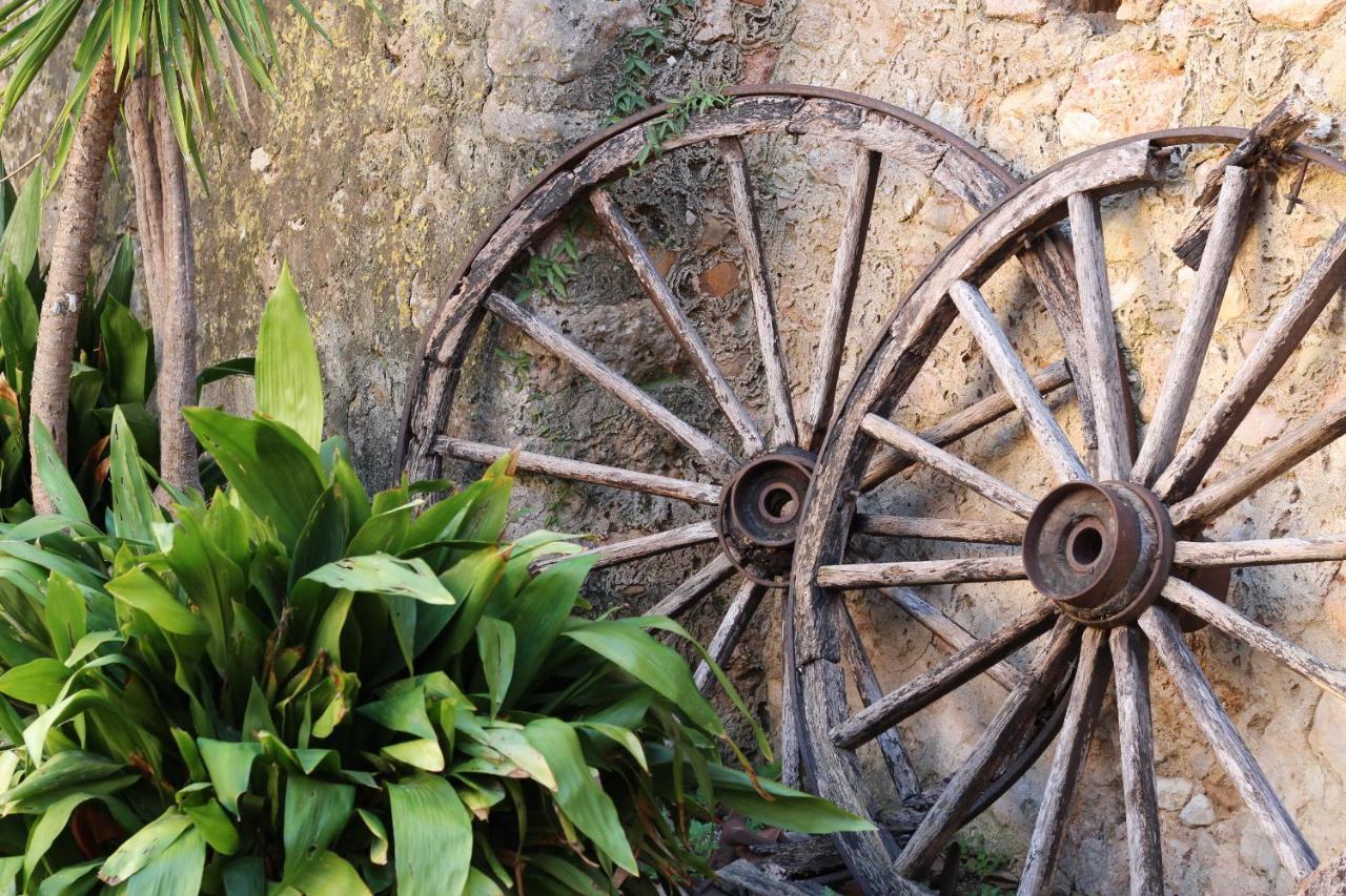 Refugio Son Pons Campanet